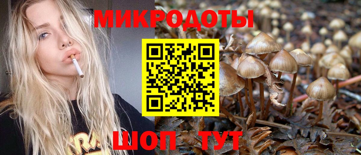 Бор  Псилоцибиновые грибы MAGIC MUSHROOMS  Вход с VPN 